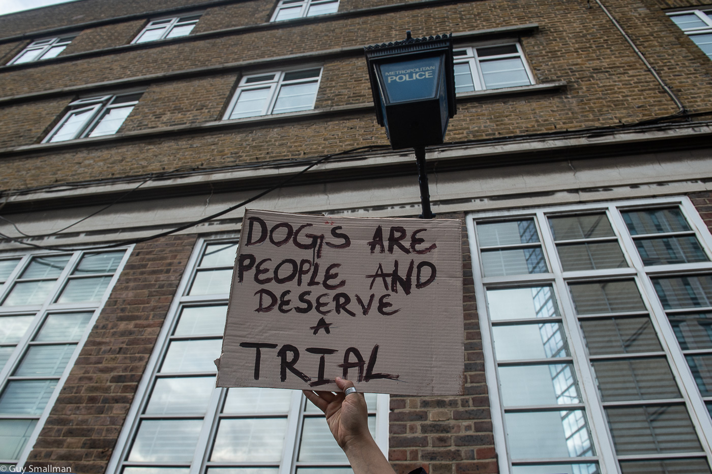Outrage after two dogs executed by police - Freedom News